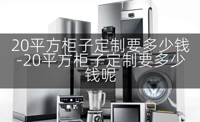 20平方柜子定制要多少钱-20平方柜子定制要多少钱呢