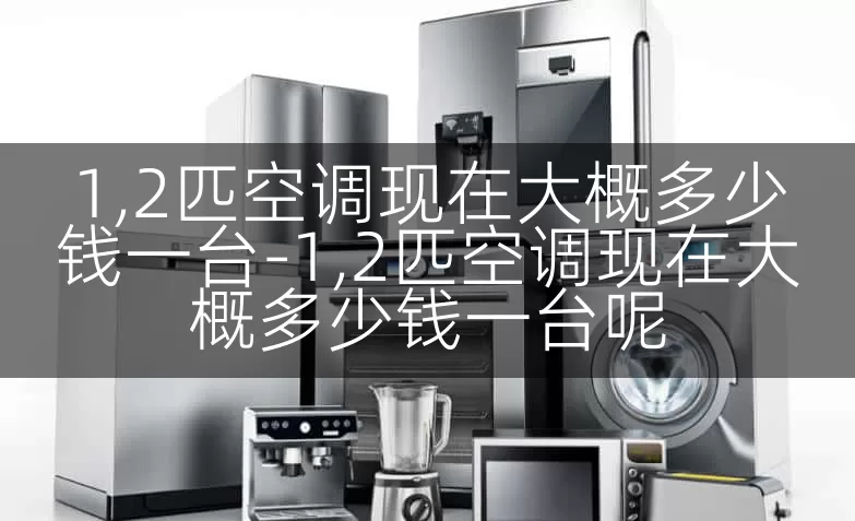 1,2匹空调现在大概多少钱一台-1,2匹空调现在大概多少钱一台呢