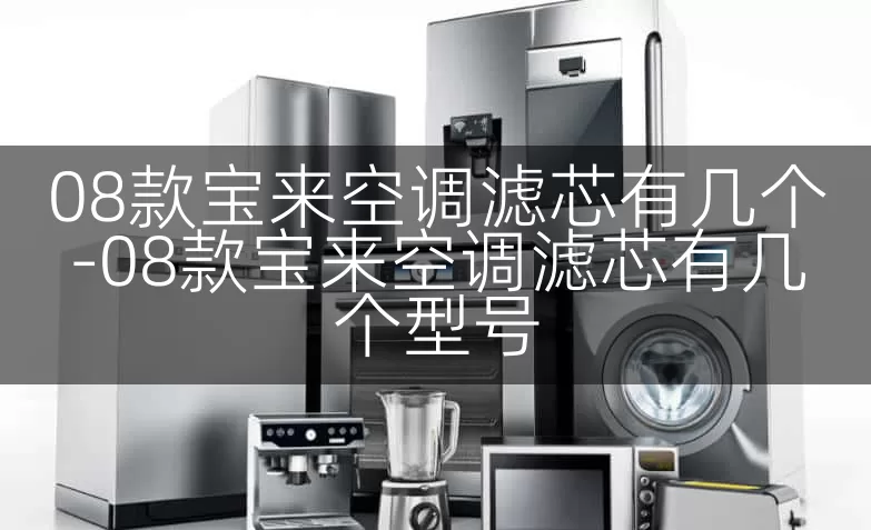 08款宝来空调滤芯有几个-08款宝来空调滤芯有几个型号