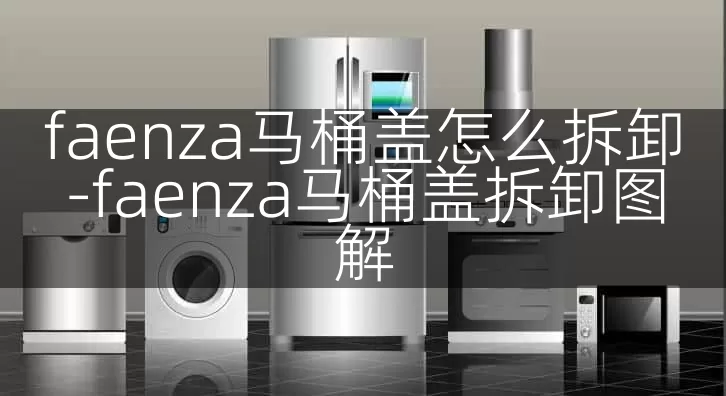 faenza马桶盖怎么拆卸-faenza马桶盖拆卸图解