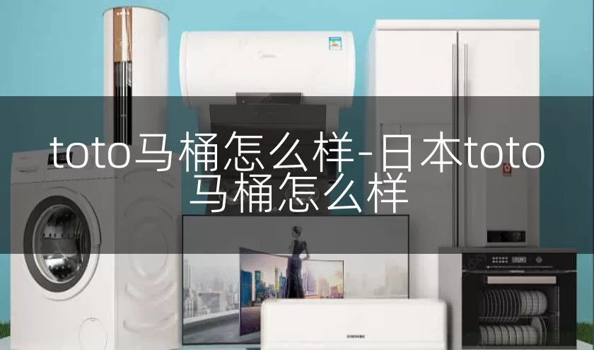 toto马桶怎么样-日本toto马桶怎么样