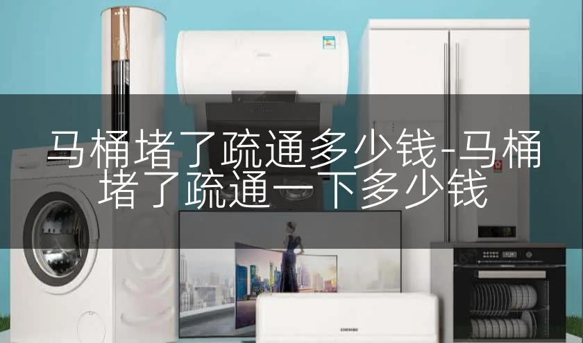 马桶堵了疏通多少钱-马桶堵了疏通一下多少钱