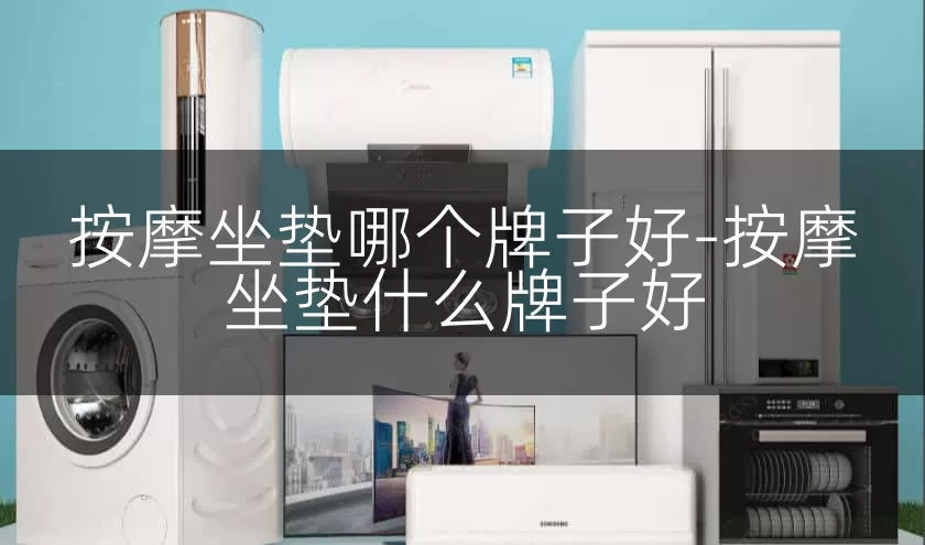 按摩坐垫哪个牌子好-按摩坐垫什么牌子好