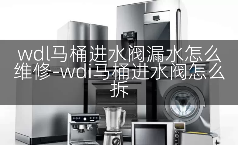 wdl马桶进水阀漏水怎么维修-wdi马桶进水阀怎么拆