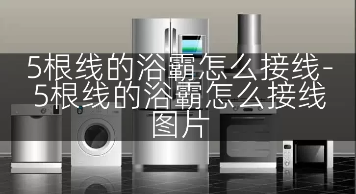 5根线的浴霸怎么接线-5根线的浴霸怎么接线图片