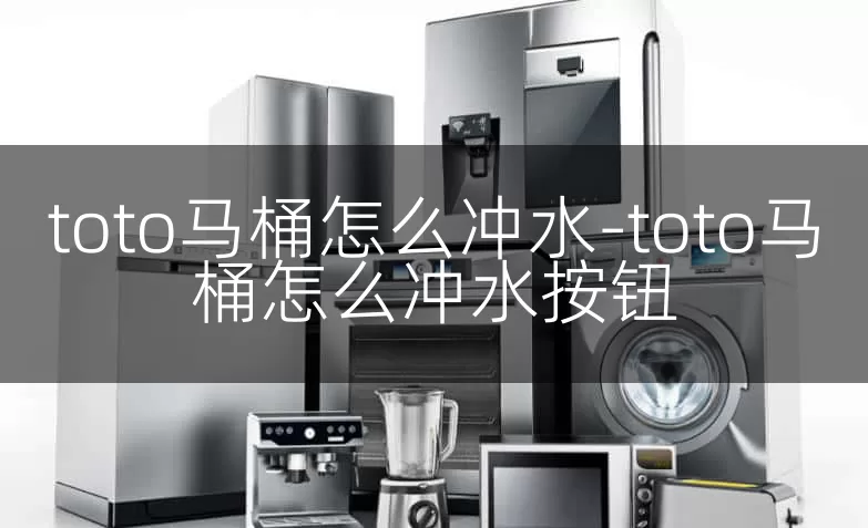 toto马桶怎么冲水-toto马桶怎么冲水按钮