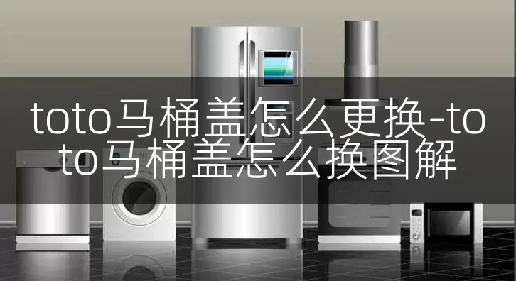 toto马桶盖怎么更换-toto马桶盖怎么换图解