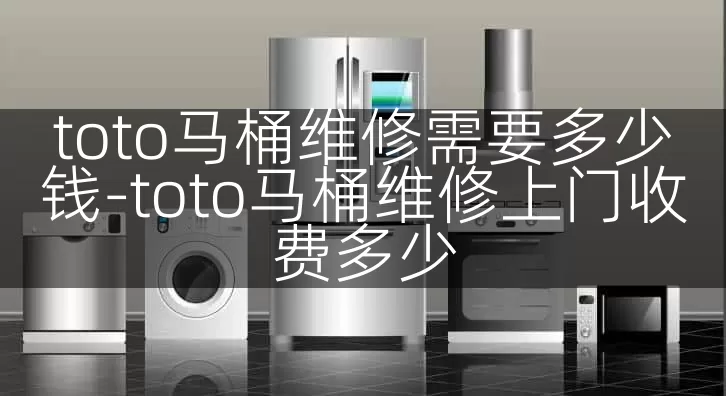 toto马桶维修需要多少钱-toto马桶维修上门收费多少
