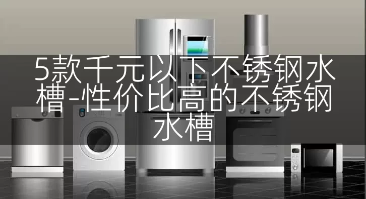 5款千元以下不锈钢水槽-性价比高的不锈钢水槽