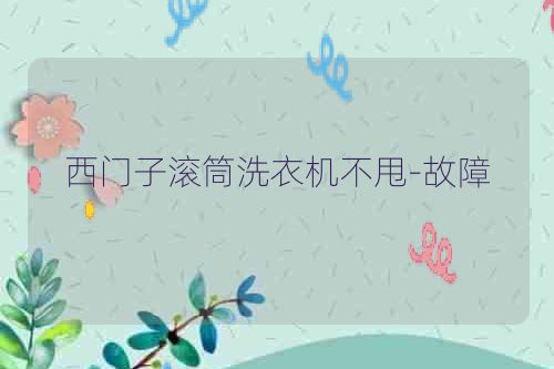 西门子滚筒洗衣机不甩-故障