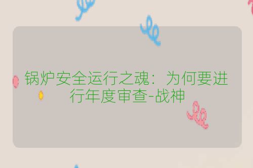 锅炉安全运行之魂:为何要进行年度审查-战神