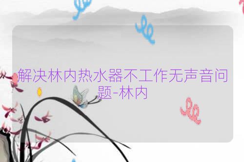 解决林内热水器不工作无声音问题-林内