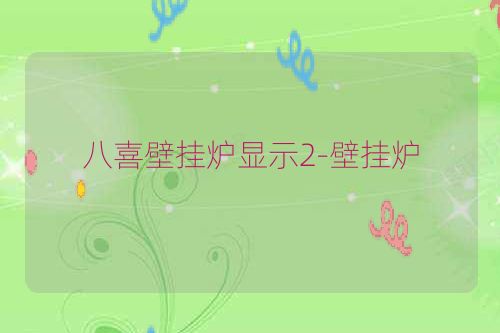 八喜壁挂炉显示2-壁挂炉