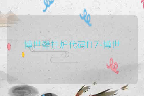 博世壁挂炉代码f17-博世