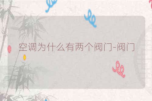 空调为什么有两个阀门-阀门