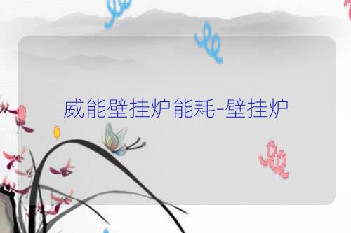 威能壁挂炉能耗-壁挂炉