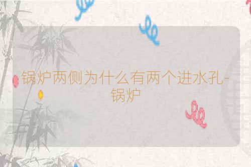 锅炉两侧为什么有两个进水孔-锅炉