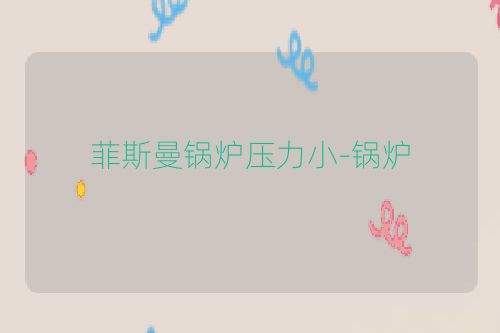 菲斯曼锅炉压力小-锅炉