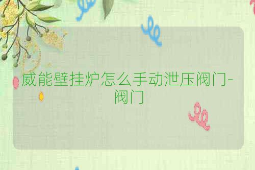 威能壁挂炉怎么手动泄压阀门-阀门