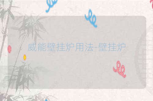 威能壁挂炉用法-壁挂炉