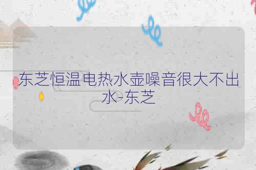 东芝恒温电热水壶噪音很大不出水-东芝