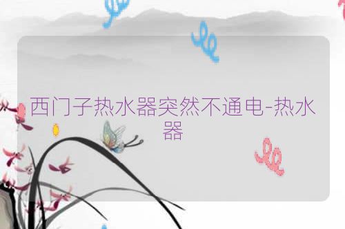 西门子热水器突然不通电-热水器