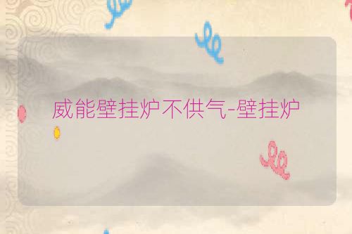 威能壁挂炉不供气-壁挂炉