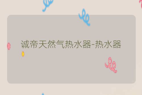 诚帝天然气热水器-热水器