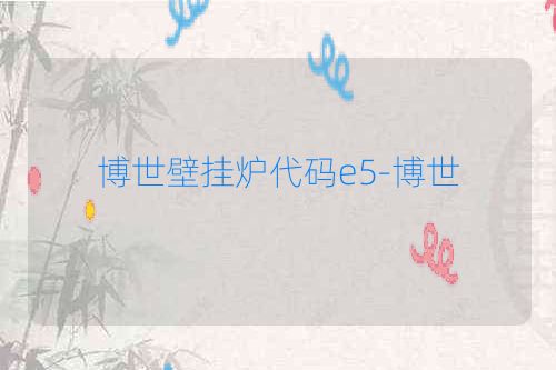 博世壁挂炉代码e5-博世
