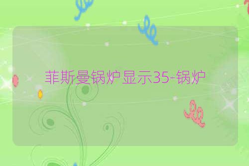 菲斯曼锅炉显示35-锅炉