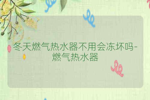 冬天燃气热水器不用会冻坏吗-燃气热水器