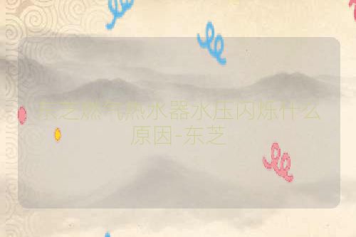 东芝燃气热水器水压闪烁什么原因-东芝