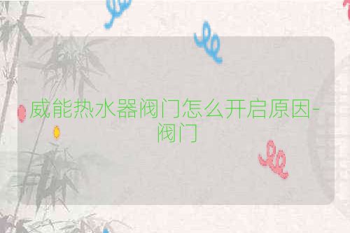 威能热水器阀门怎么开启原因-阀门