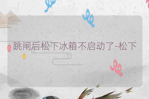 跳闸后松下冰箱不启动了-松下