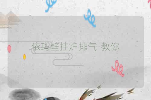 依玛壁挂炉排气-教你