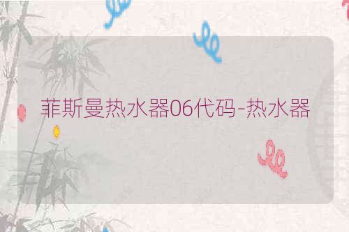 菲斯曼热水器06代码-热水器