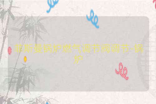 菲斯曼锅炉燃气调节阀调节-锅炉