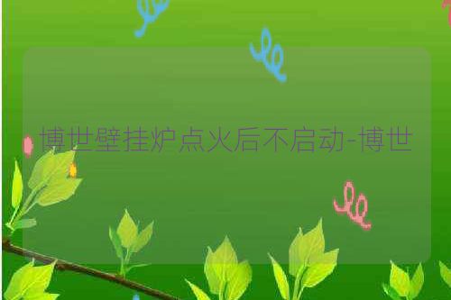博世壁挂炉点火后不启动-博世