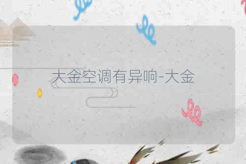 大金空调有异响-大金