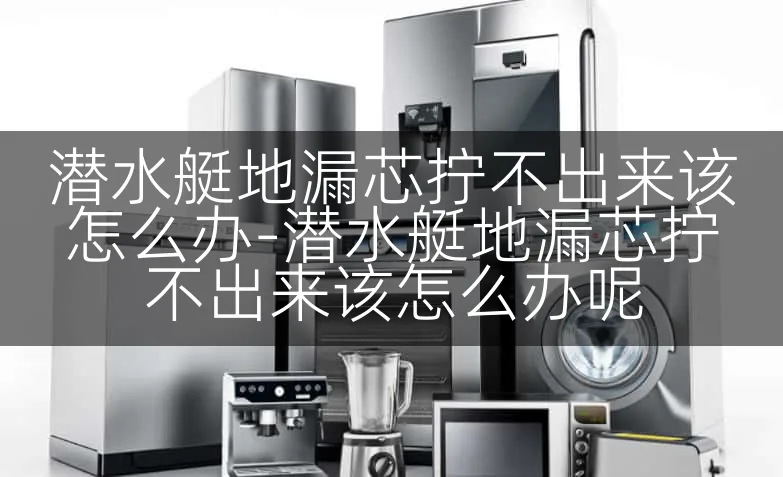 潜水艇地漏芯拧不出来该怎么办-潜水艇地漏芯拧不出来该怎么办呢