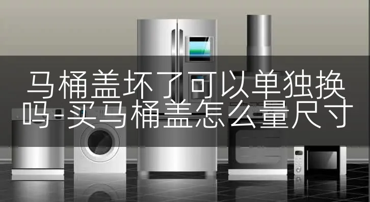 马桶盖坏了可以单独换吗-买马桶盖怎么量尺寸