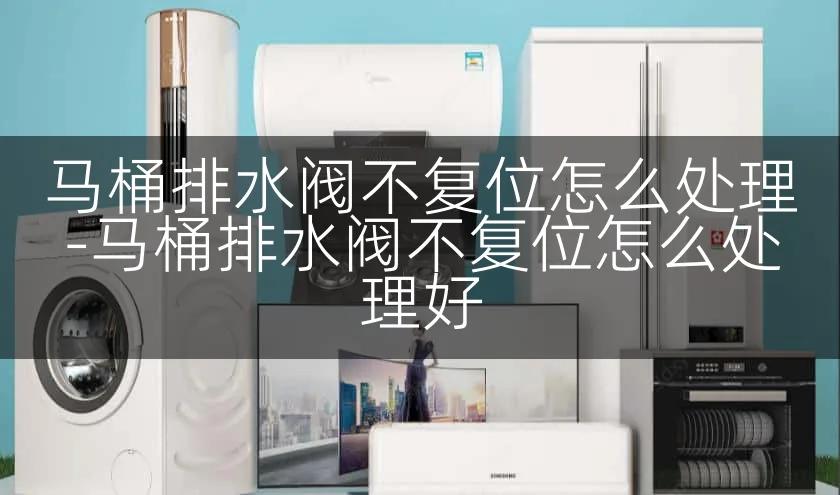 马桶排水阀不复位怎么处理-马桶排水阀不复位怎么处理好