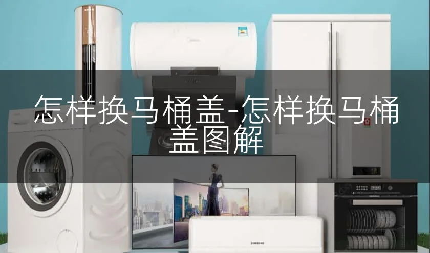 怎样换马桶盖-怎样换马桶盖图解