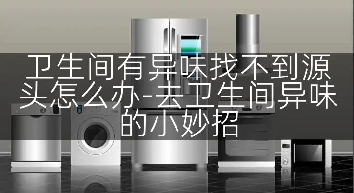 卫生间有异味找不到源头怎么办-去卫生间异味的小妙招