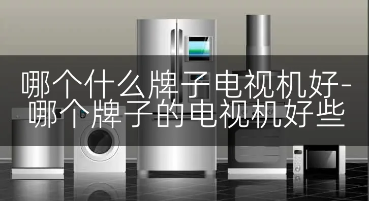 哪个什么牌子电视机好-哪个牌子的电视机好些