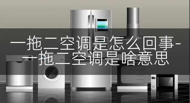 一拖二空调是怎么回事-一拖二空调是啥意思