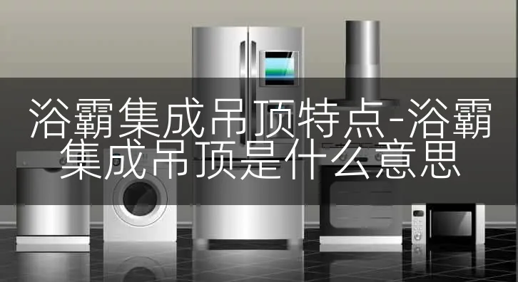 浴霸集成吊顶特点-浴霸集成吊顶是什么意思