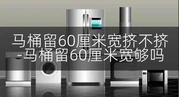 马桶留60厘米宽挤不挤-马桶留60厘米宽够吗