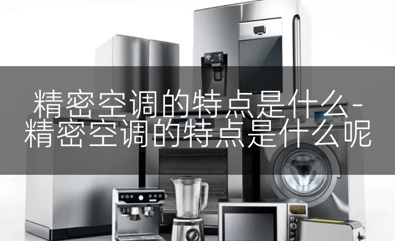 精密空调的特点是什么-精密空调的特点是什么呢