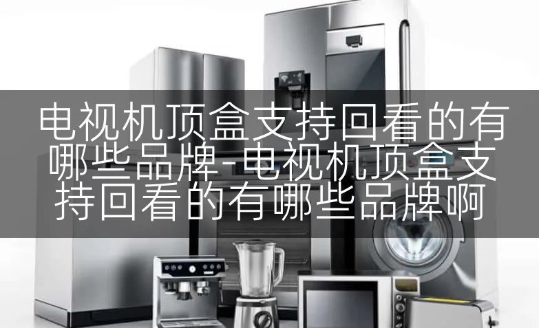 电视机顶盒支持回看的有哪些品牌-电视机顶盒支持回看的有哪些品牌啊